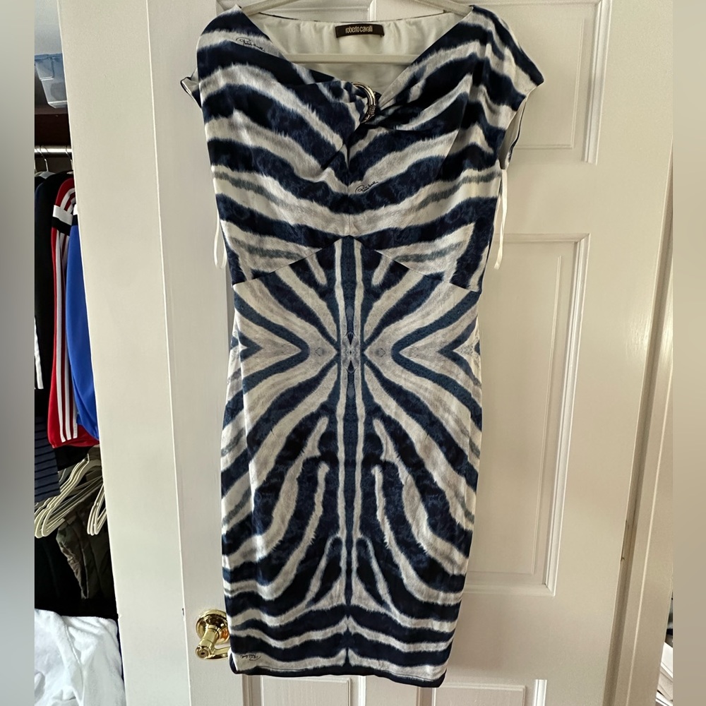 Roberto Cavalli Dress